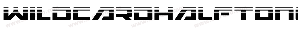 WildcardHalftone-R4B6字体转换