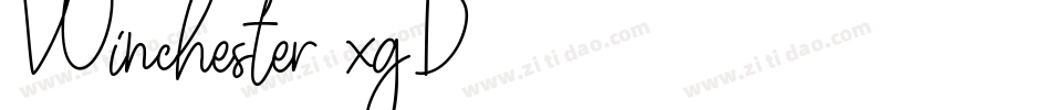 Winchester-xgD8字体转换