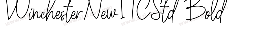 WinchesterNewITCStd-Bold字体转换