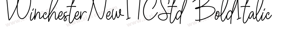 WinchesterNewITCStd-BoldItalic字体转换