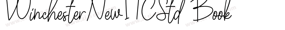 WinchesterNewITCStd-Book字体转换