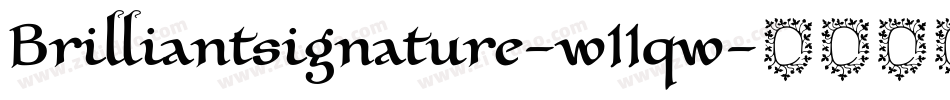 Brilliantsignature-w11qw字体转换