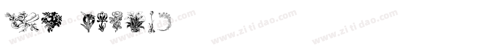 pf_wreath字体转换