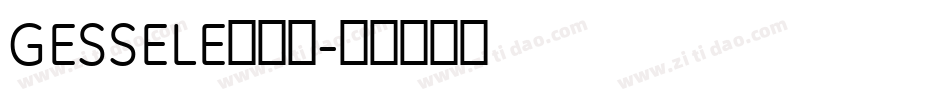 GESSELE转换器字体转换