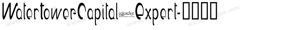 WaterTower-CapitalsExpert字体转换