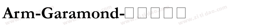 Arm-Garamond字体转换