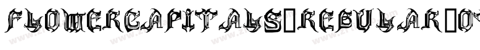 FlowerCapitals4Regular-OVEEo字体转换