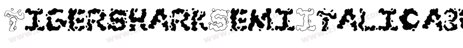 TigersharkSemiItalic-a3wJ字体转换