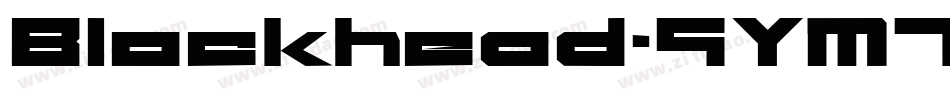 Blockhead-9YM7字体转换
