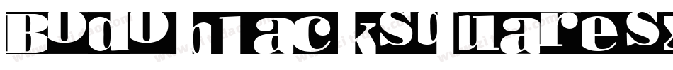 Bodoblacksquares-x8LV字体转换