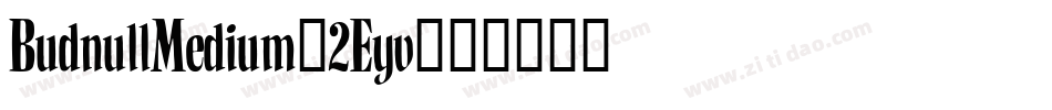 BudnullMedium-2Eyv字体转换