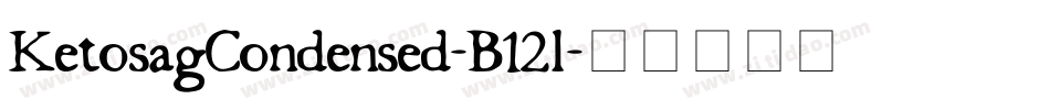 KetosagCondensed-B12l字体转换