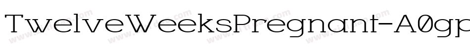 TwelveWeeksPregnant-A0gp字体转换