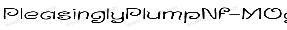 PleasinglyPlumpNf-MOgx字体转换