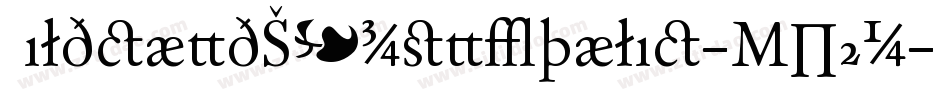 WildcardSuperItalic-MP7n字体转换