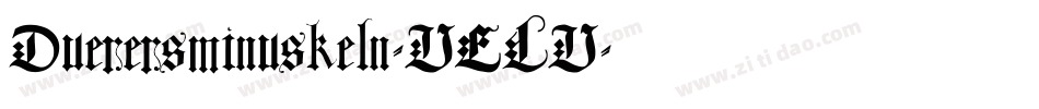 Duerersminuskeln-VELV字体转换