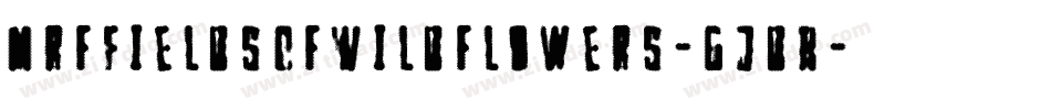 MrfFieldsOfWildflowers-gJdR字体转换