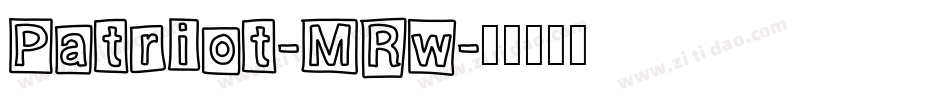 Patriot-MRw字体转换 Patriot-MRw字体转换
