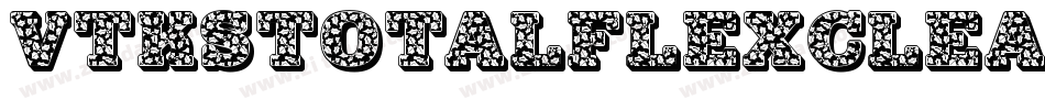 VtksTotalflexclean-yAwe字体转换
