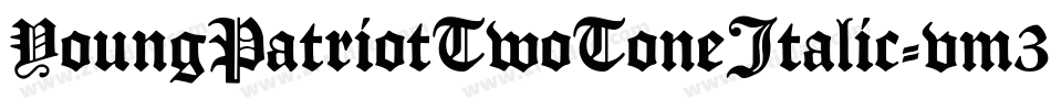 YoungPatriotTwoToneItalic-vm3yD字体转换