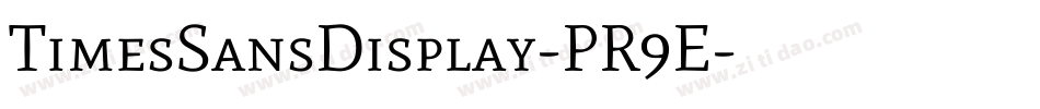 TimesSansDisplay-PR9E字体转换