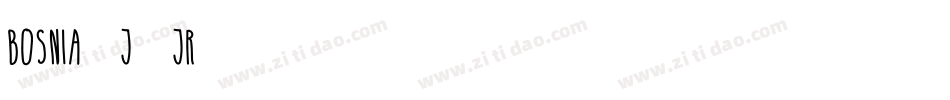 Bosnia-j6jR字体转换