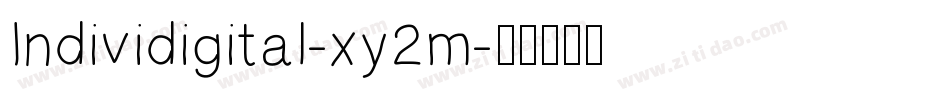 Individigital-xy2m字体转换 Individigital-xy2m字体转换