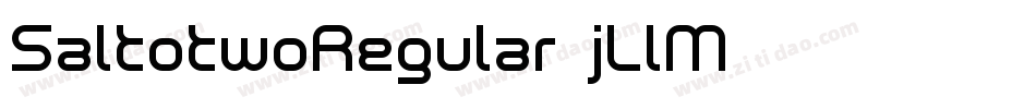 SaltotwoRegular-jLlM字体转换