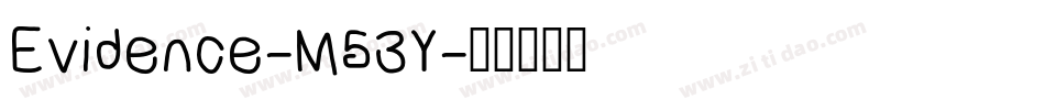 Evidence-M53Y字体转换