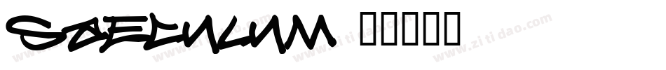 Saeculum字体转换