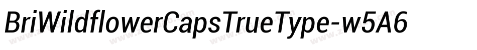 BriWildflowerCapsTrueType-w5A6字体转换