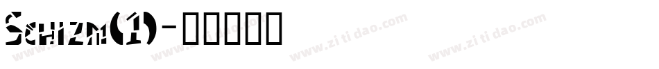 Schizm(1)字体转换