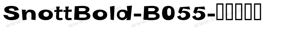 SnottBold-B055字体转换