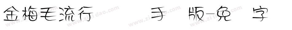 金梅毛流行国际码手机版字体转换