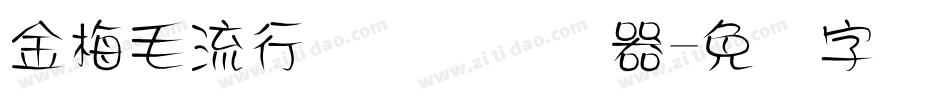 金梅毛流行国际码转换器字体转换