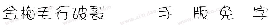 金梅毛行破裂国际码手机版字体转换