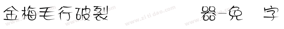 金梅毛行破裂国际码转换器字体转换