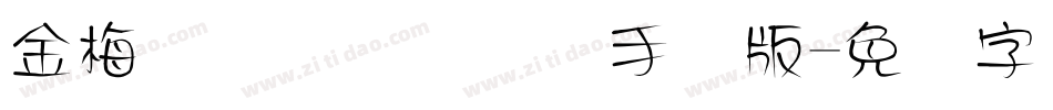 金梅简体细圆国际码手机版字体转换