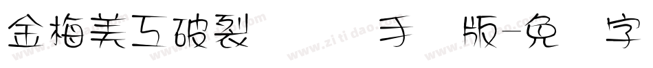 金梅美工破裂国际码手机版字体转换