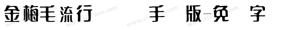 金梅毛流行国际码手机版字体转换