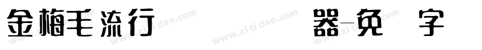 金梅毛流行国际码转换器字体转换