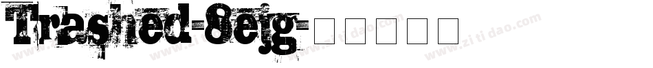 Trashed-8ejg字体转换