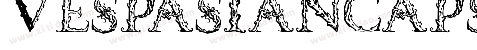 Vespasiancaps-39P6字体转换
