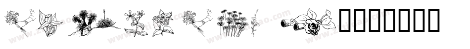 wmflowers2字体转换