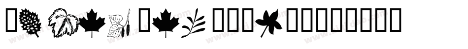 Wmleaves1-RdMV字体转换