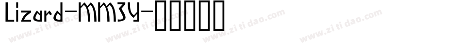Lizard-MM3Y字体转换