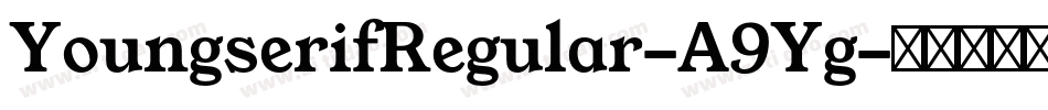 YoungserifRegular-A9Yg字体转换