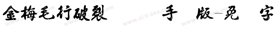 金梅毛行破裂国际码手机版字体转换