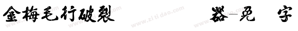 金梅毛行破裂国际码转换器字体转换