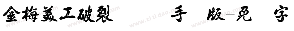 金梅美工破裂国际码手机版字体转换